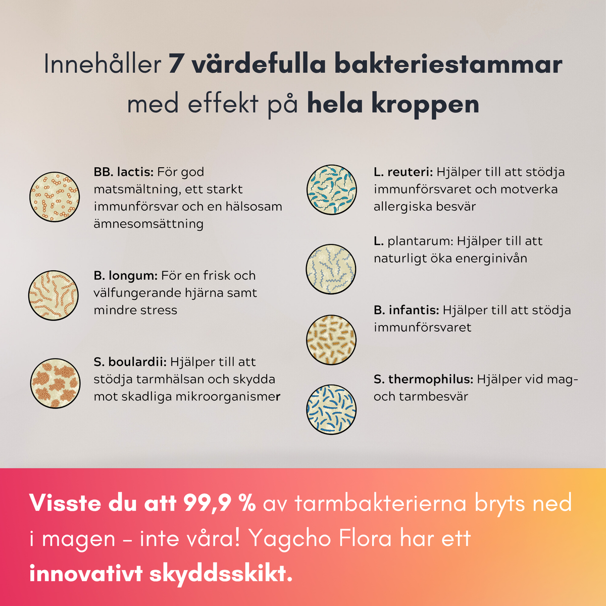 Intestinal Flora Complex