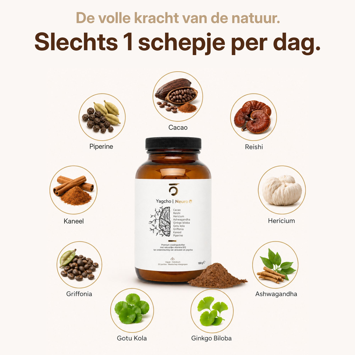 Neurokomplex